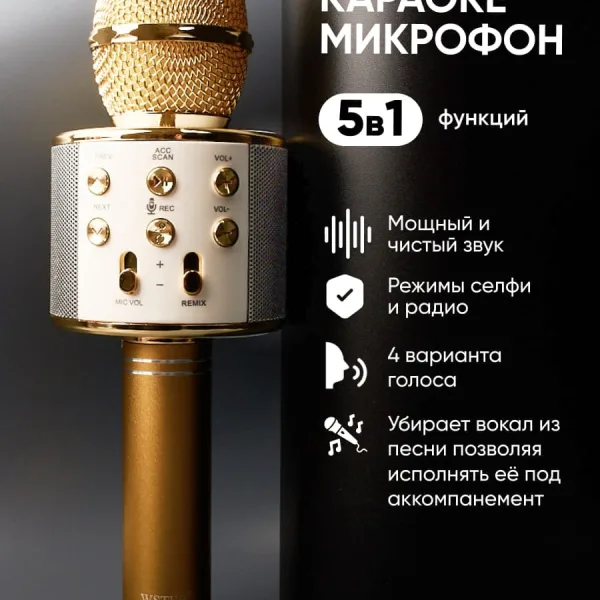 Главный вид караоке микрофона Profit WS-858 ORIGINAL золотой